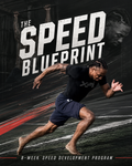 8-Week Athletic Performance Program